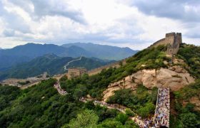 melissa-AWh9C-QjhE4-unsplash